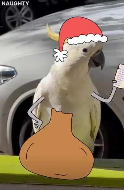 Hope you cunts and cuntettes had a great Chrissie!