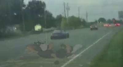 VQ's kinda sound like Tom & Jerry bees