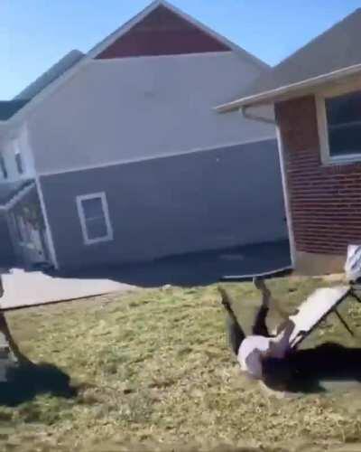 Take that table and gravity