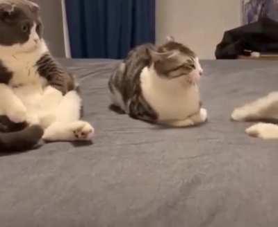 Siblings, am I right?