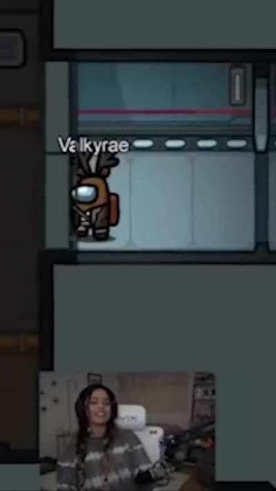 CHOOSE YOUR AMIGOPS | all participating artists are listed at the end