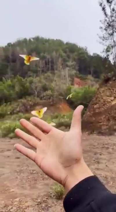 Mixture of wholesome with Nature is F*cking Lit!