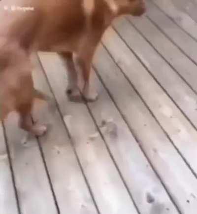 Ya es Juevebebes y ésa el la actitud 