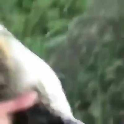 He is a man of focus, commitment, and sheer freaking will