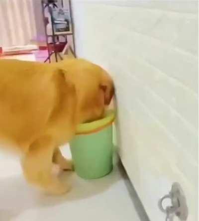 That's enough. My turn now.