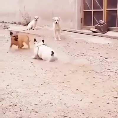 Look at Mr. Tough Guy now