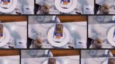 🍞‏‏‎ ‎‏‏‎ ‎‏‏‎ ‎‏‏‎ ‎‏‏‎ ‎‏‏‎ ‎‏‏‎ ‎‏‏‎ ‎‏‏‎ ‎‏‏‎ ‎‏‏‎ ‎‏‏‎ ‎‏‏‎ ‎