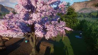 So when my red panda was gonna die of old age I thought they would get down from the tree and then die, they don't.