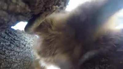 📷 Trash Vlogger Testing Out His New Go-Pro Camera