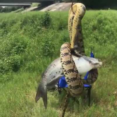 WCGW fishing in the bayou
