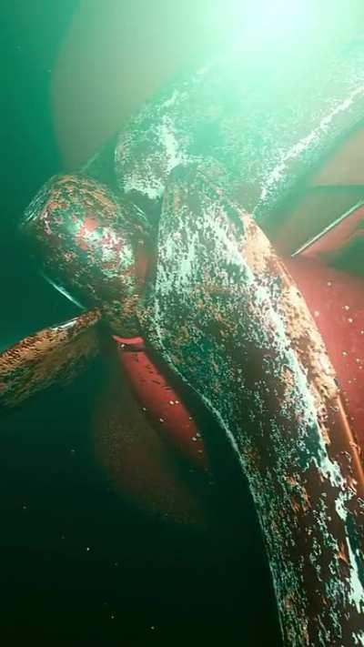 Diver gets too close to container ship propeller ð OC
