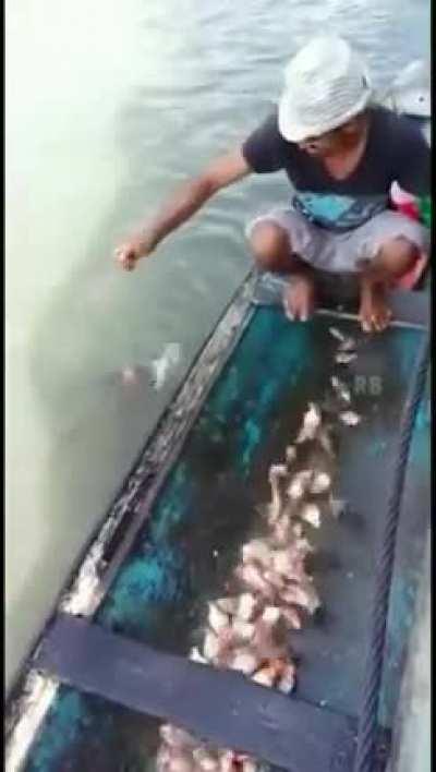 a mistake here could go very wrong.