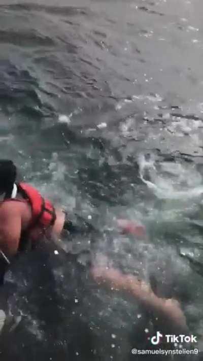 Fisherman save a humpback whale entangled in a buoy