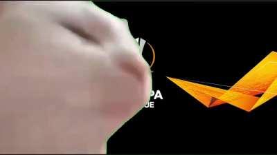 Desperate times calls for us to break out the big guns. Mon the Europa League cat, work your magic.