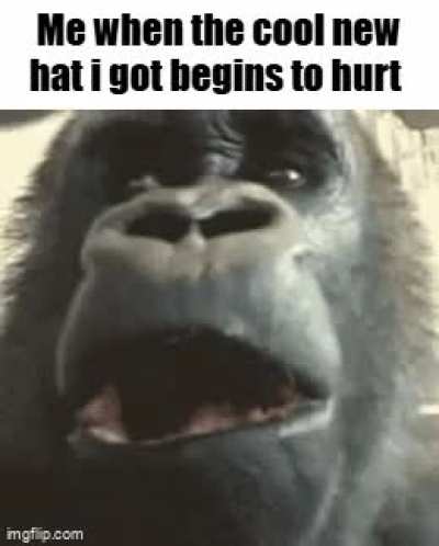 And so the Journey continued as intended.....