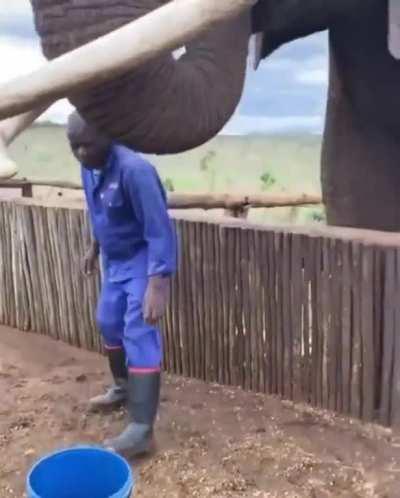 🔥 Heavy drinker 🔥