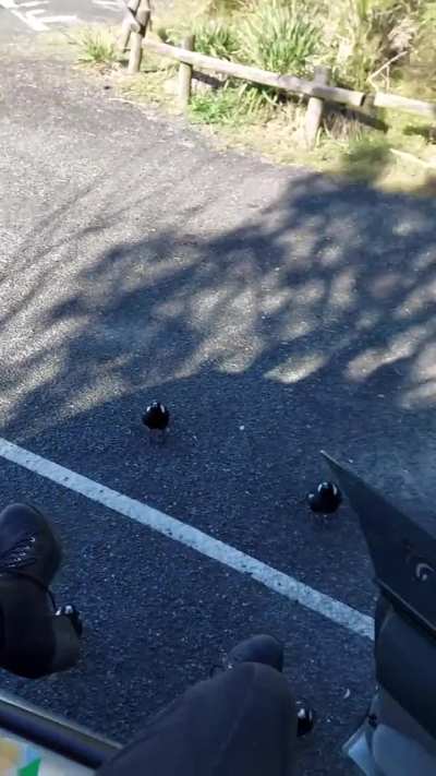 I think they want some subway