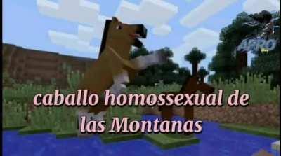 Caballo homossexual de Las Montanas.