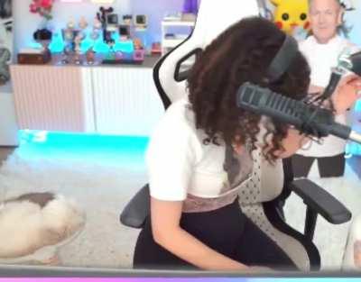 From yesterday’s stream