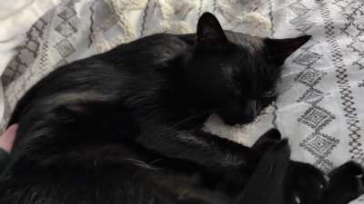 Sleepy cozy girl 🖤