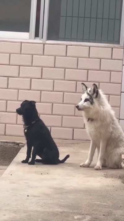 Whats a thing that is dangerously close to collapse that you know about?