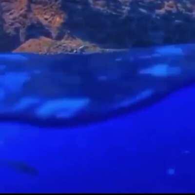 Almost had a heart attack when I saw this.