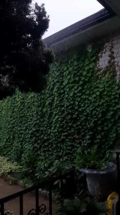 Why does your porch feel extra cozy while watching the rain?