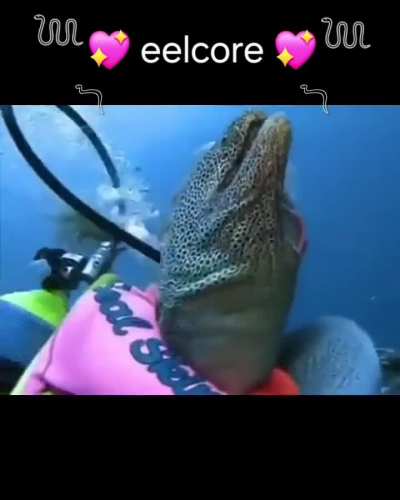 I was told I should post this here