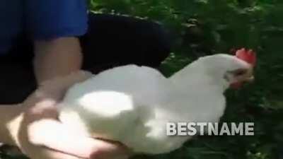 Stress got me like...