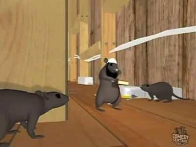 this would be a good funniest home video