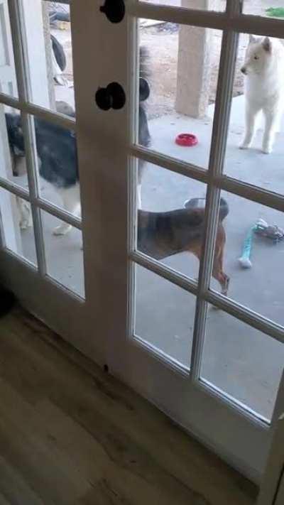 Only one allowed to get water...