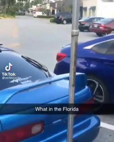 Found this on tik tok and surely it belongs here.