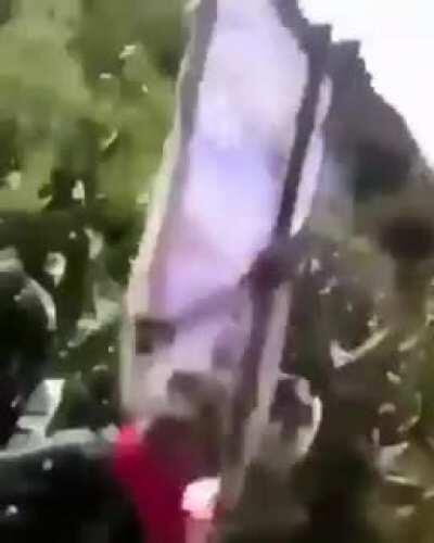 Wiley Coyote at it again