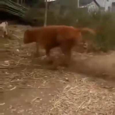 Always that one dude in the club like…