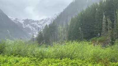 I could have sat here and watched this all day