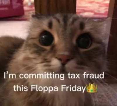 It’s floppa Friday 🥳🥳🥳🥳