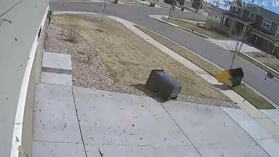 Jake Paul and his fans are just the worst. In this whole pandemic situation they are out on the streets partying.