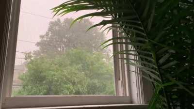 Wet floor in Vermont