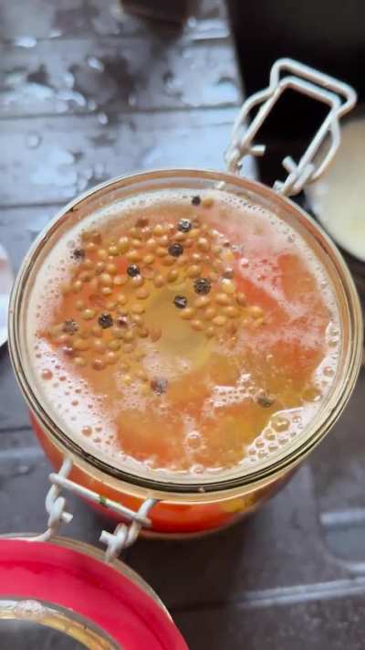 Fermented piccolo tomatoes 🍅 😍