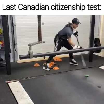 🍁 Greetings from Mooseland 🍁