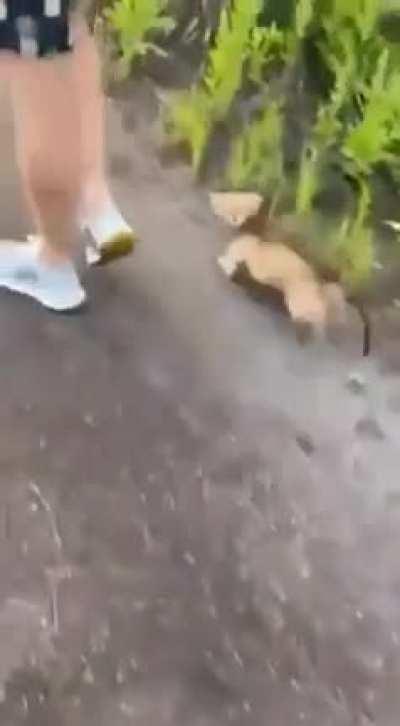 He wants to be picked up