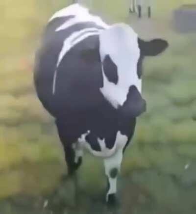 alguem pra jogar um fogaréu? 😳