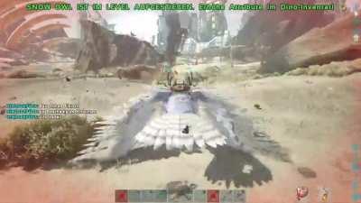 Trapped a giga, gets killed by meteorite. I'm never playing ark again.