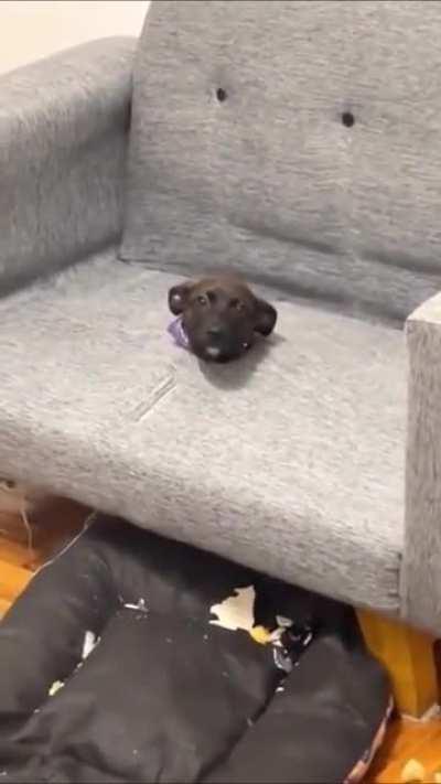 Busted, stuck, and embarrassed.