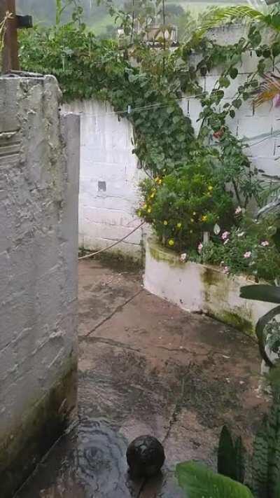 What do you love most about rain?