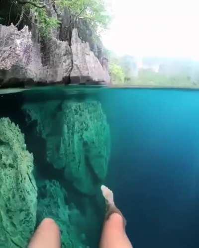 Let's go swimming 🤩🌴🐚