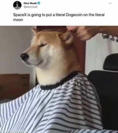 Getting ready for the moon!