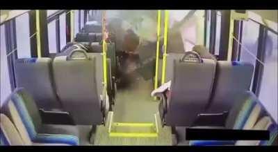 car just want to says hello