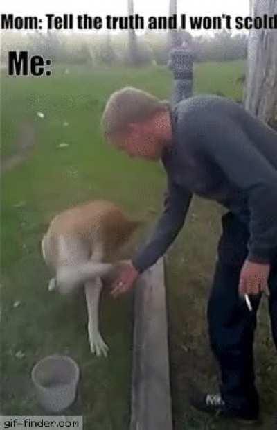 And of course she scolded me