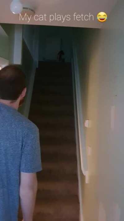 My cat plays fetch 😂🥰